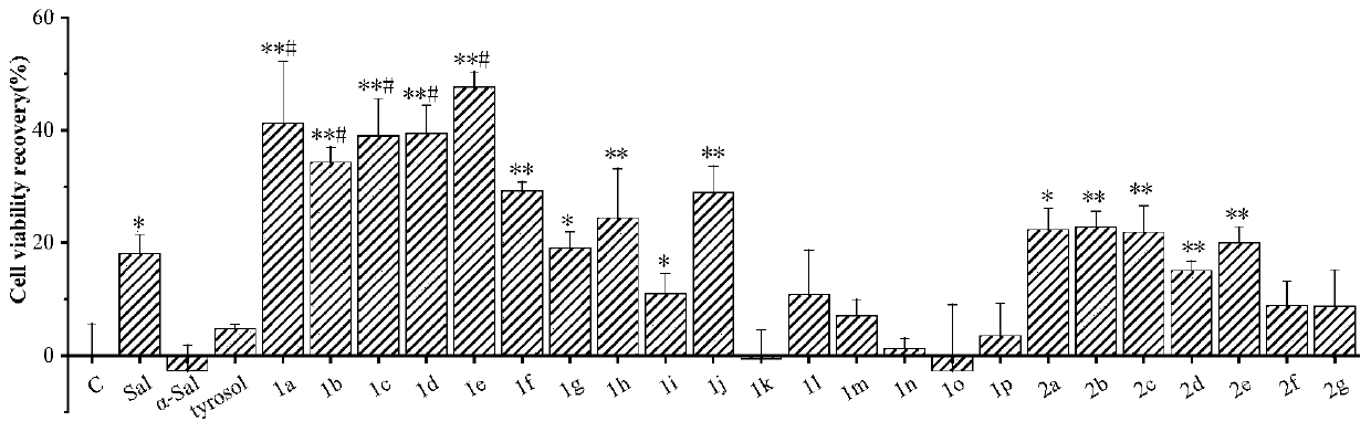 Salidroside derivative and preparation method and application thereof