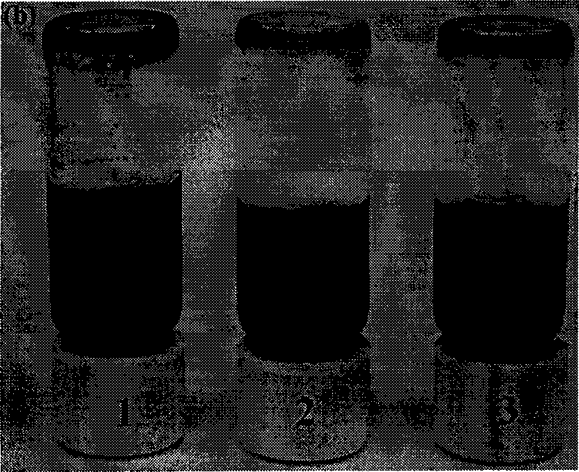 Method for preparing poly(amidoamine)/carbon nanometer tube composite material for cancer cell targeting diagnosis