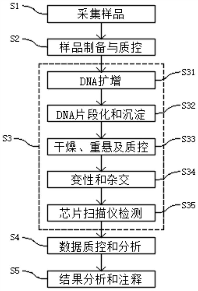 Kit and method for integrally and comprehensively detecting five complex genetic diseases