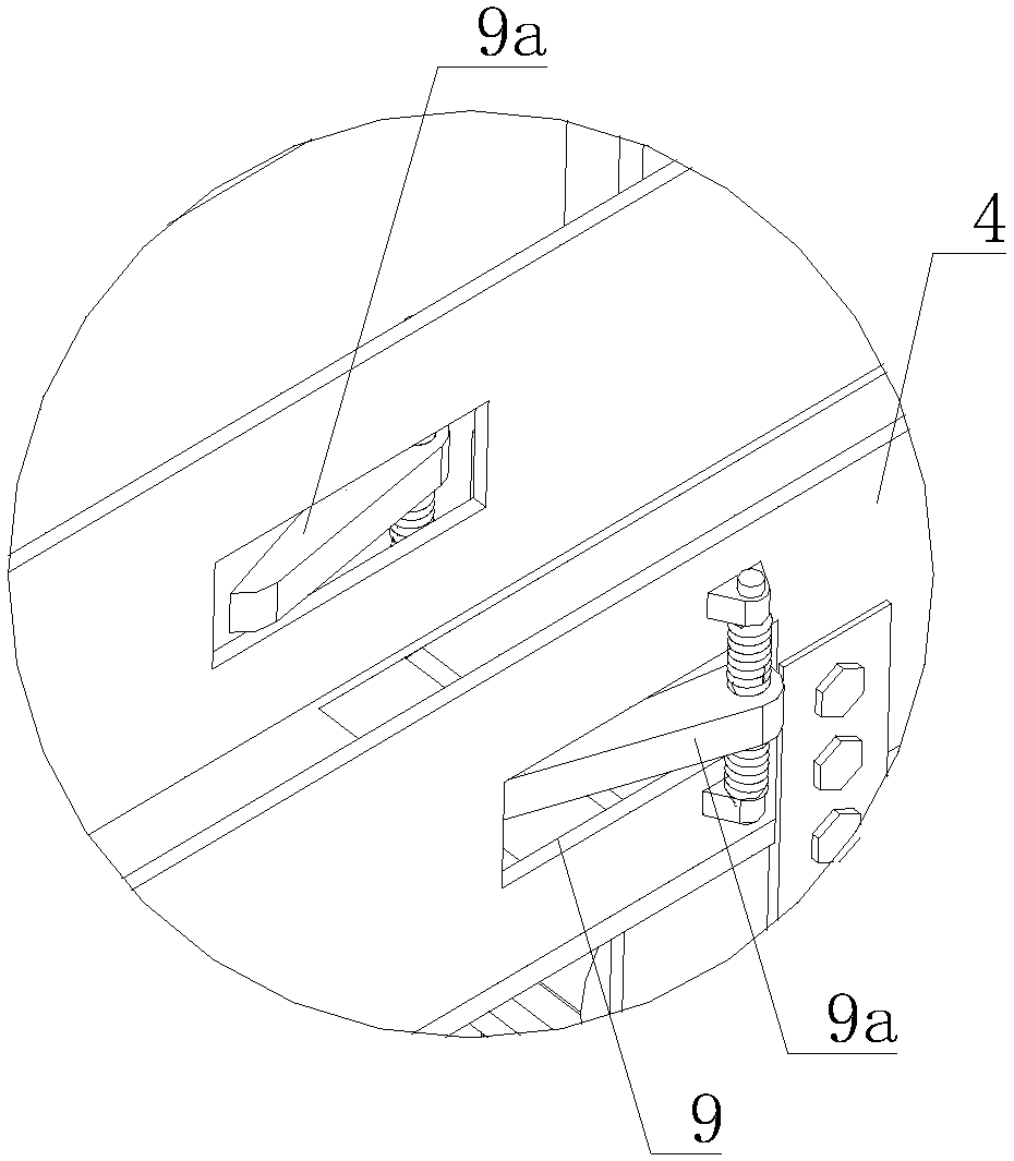 Apple sorting device