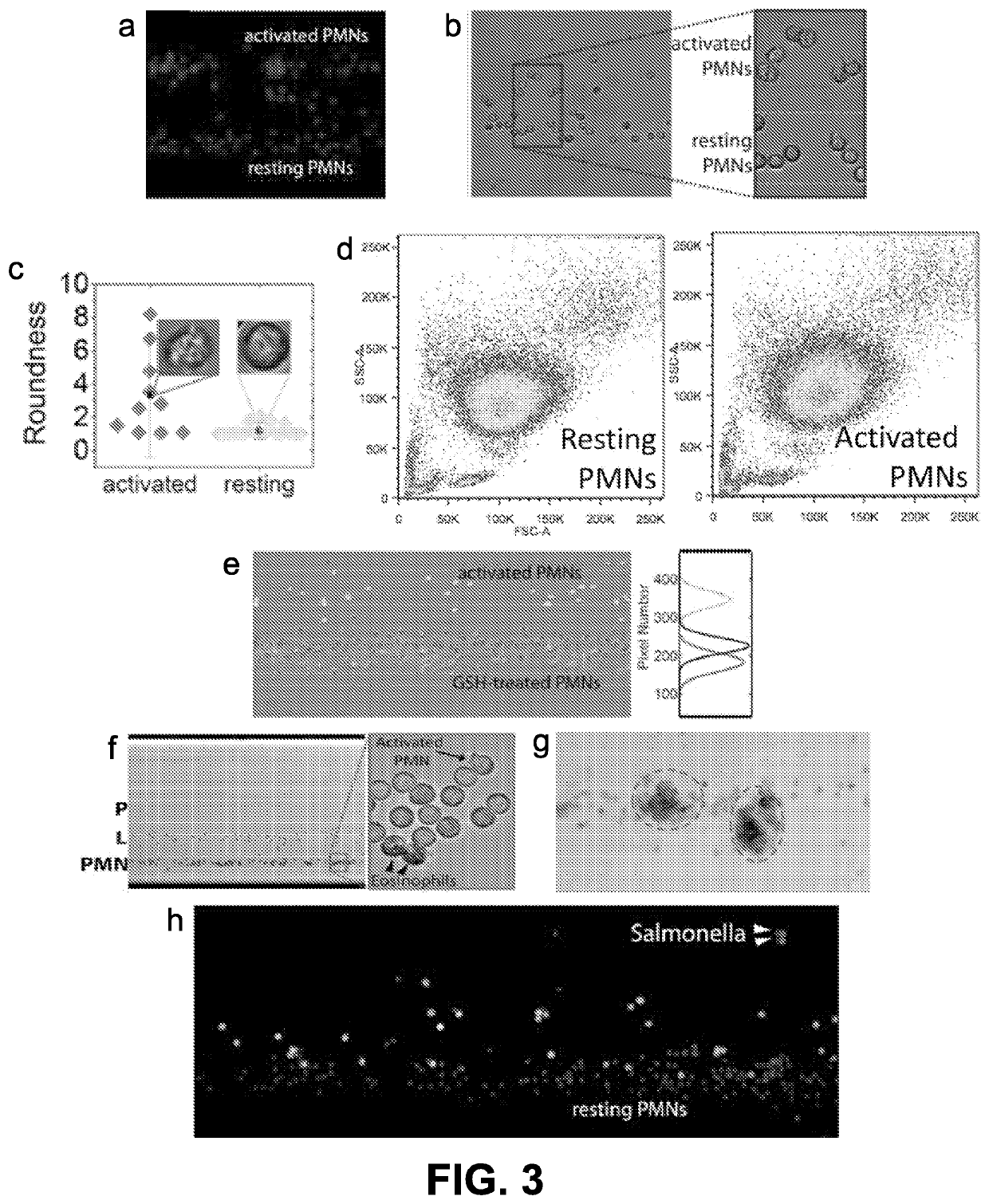 System and method for cell levitation and monitoring