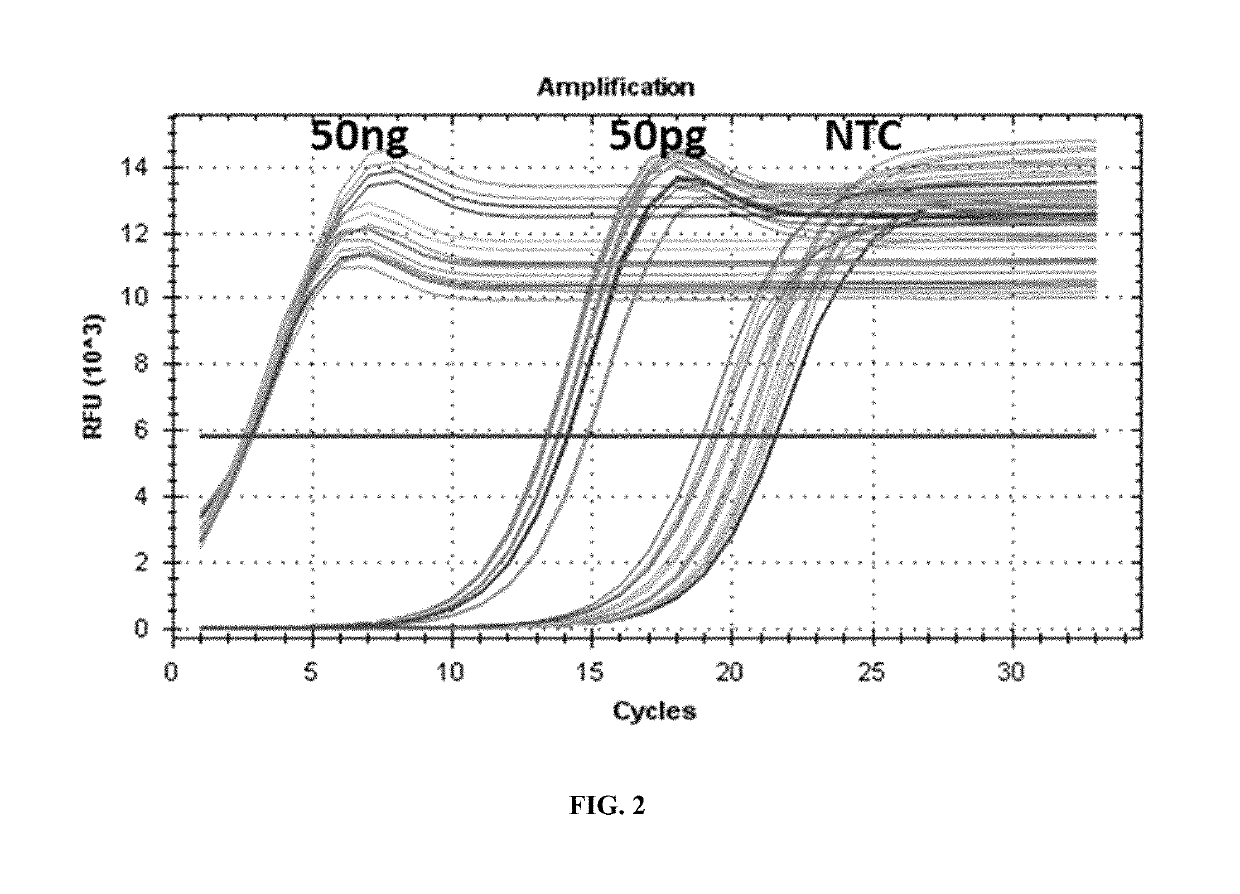 Methods and compositions for repair of DNA ends by multiple enzymatic activities