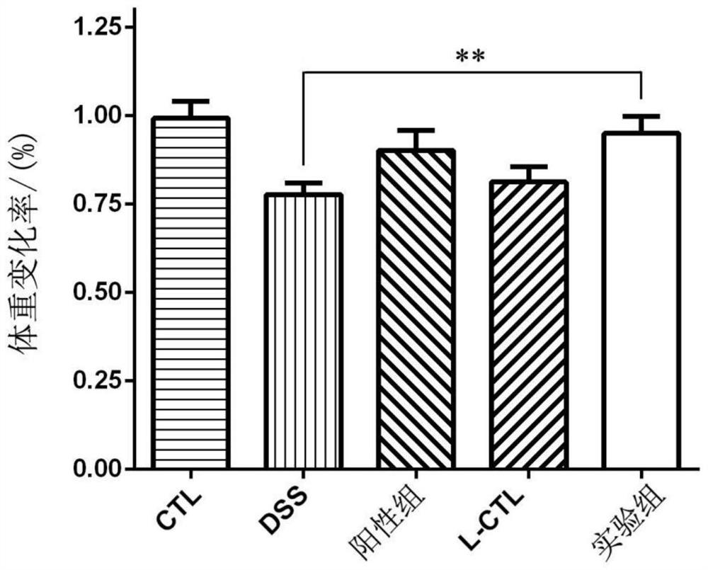 Preparation method and application of composite Chinese herbal medicine lactobacillus fermented beverage