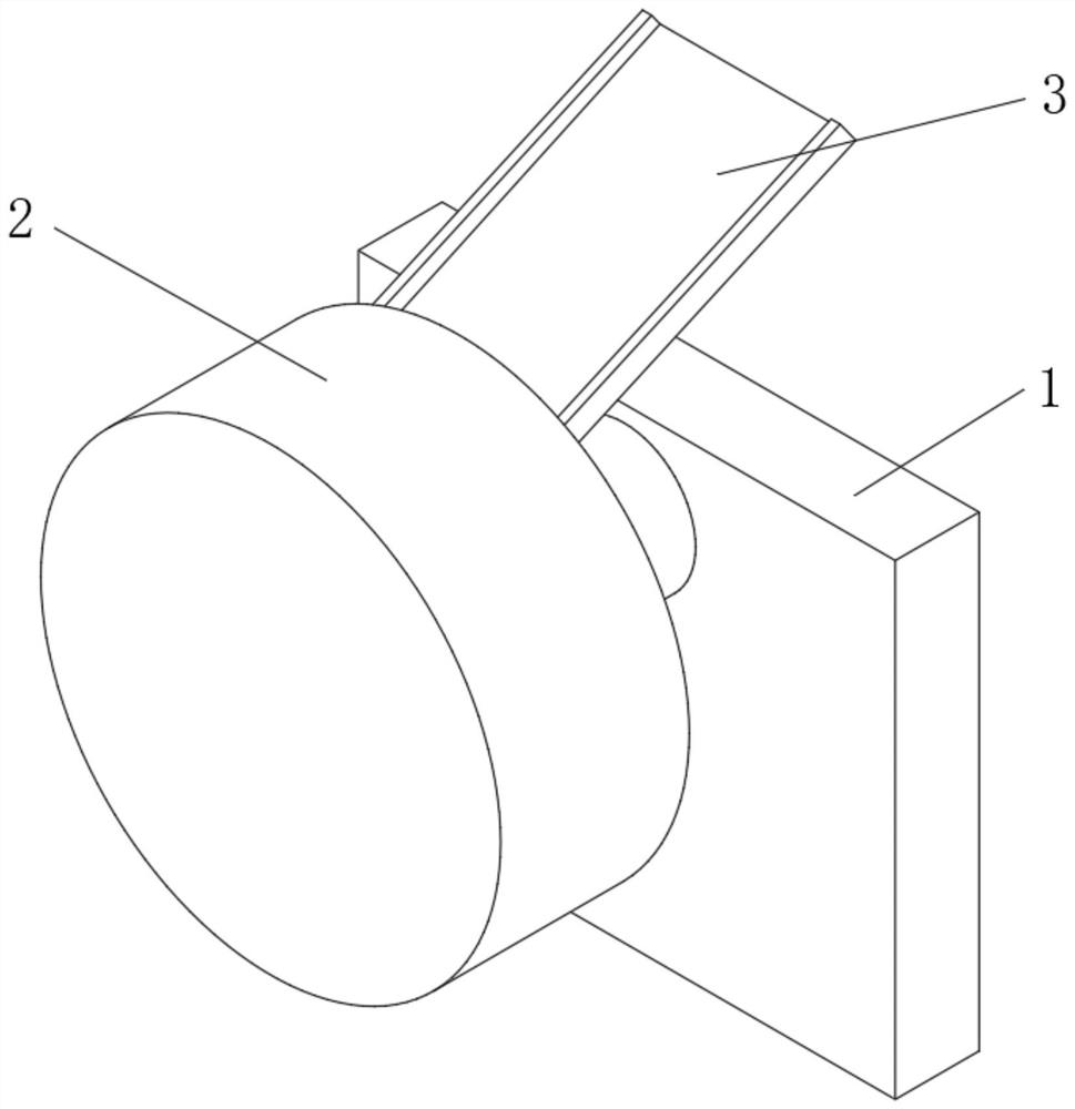 Sample crushing and mixing device for food detection