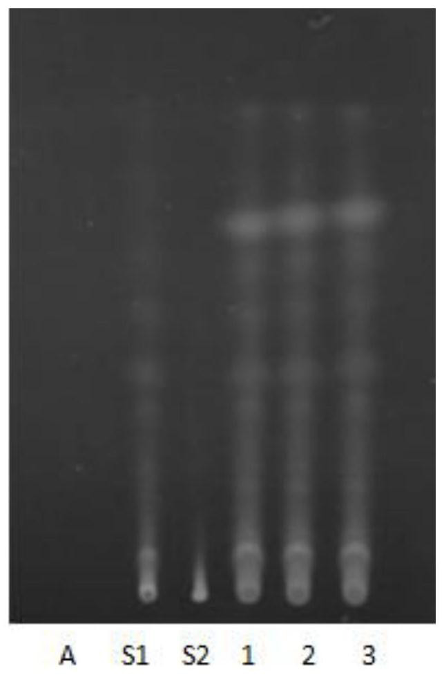 Quality detection method for vinegar myrrh standard decoction