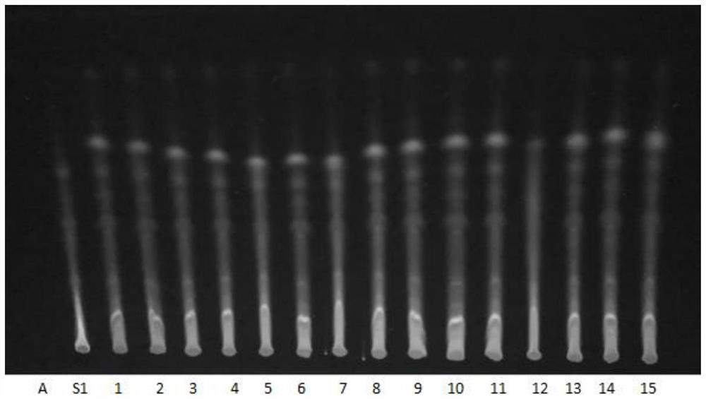 Quality detection method for vinegar myrrh standard decoction