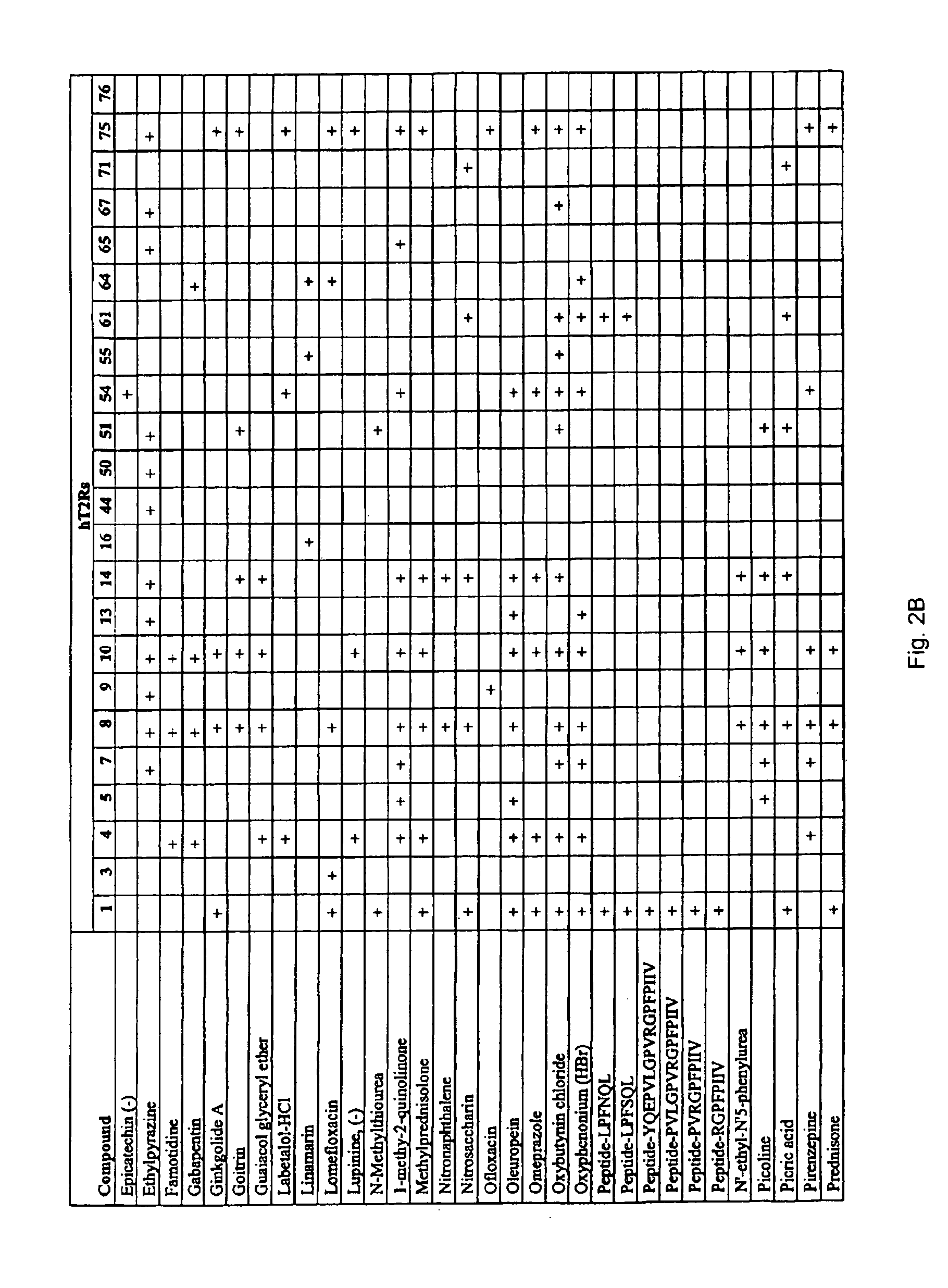 Identification of bitter ligands that specifically activate human T2R receptors and related assays for identifying human bitter taste modulators