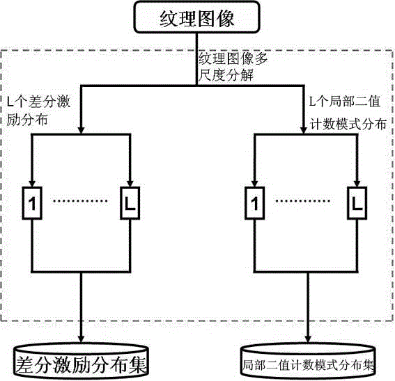 Image texture classification method based on Weber local binary counting