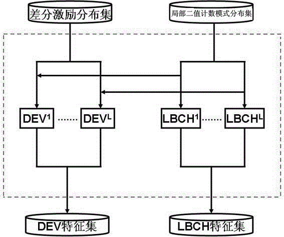 Image texture classification method based on Weber local binary counting