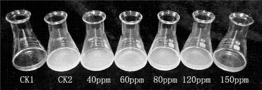 Tebuconazole and thiodiazole-copper blended medicament for preventing and treating rice seed-borne fungal and bacterial diseases