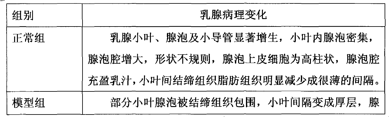 Composition with lactogenic effect and preparation method and application thereof