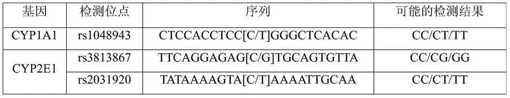 Lung cancer susceptibility gene noninvasive detection kit