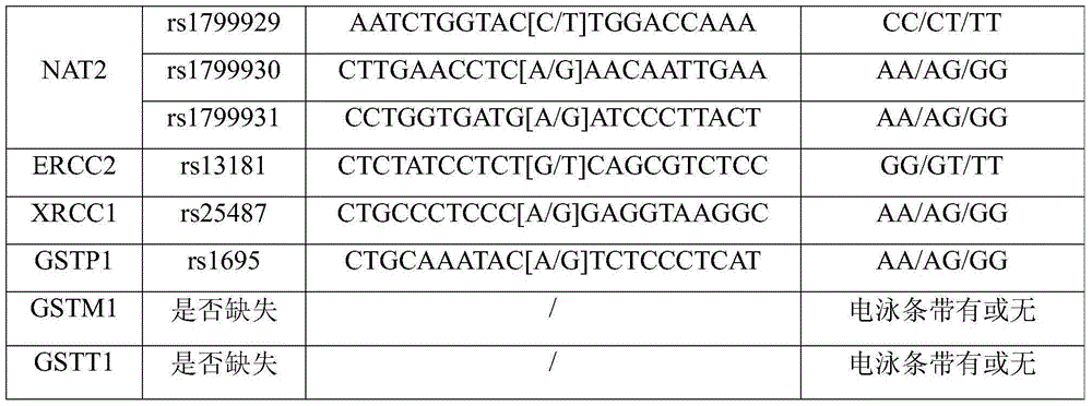 Lung cancer susceptibility gene noninvasive detection kit