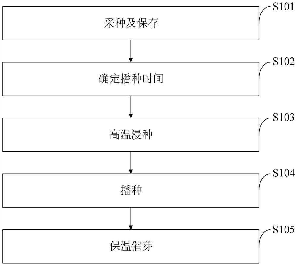 Simple method for improving seed germination of canna edulis ker