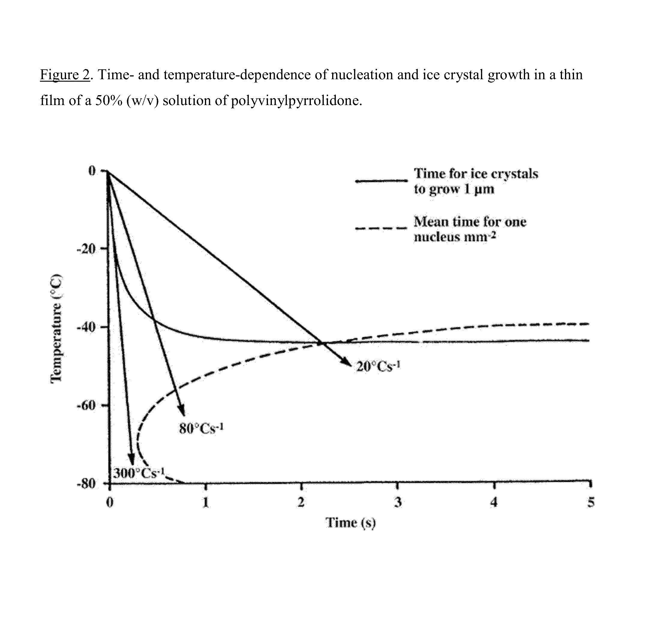 Method for Drying-Conservation of Natural Substances