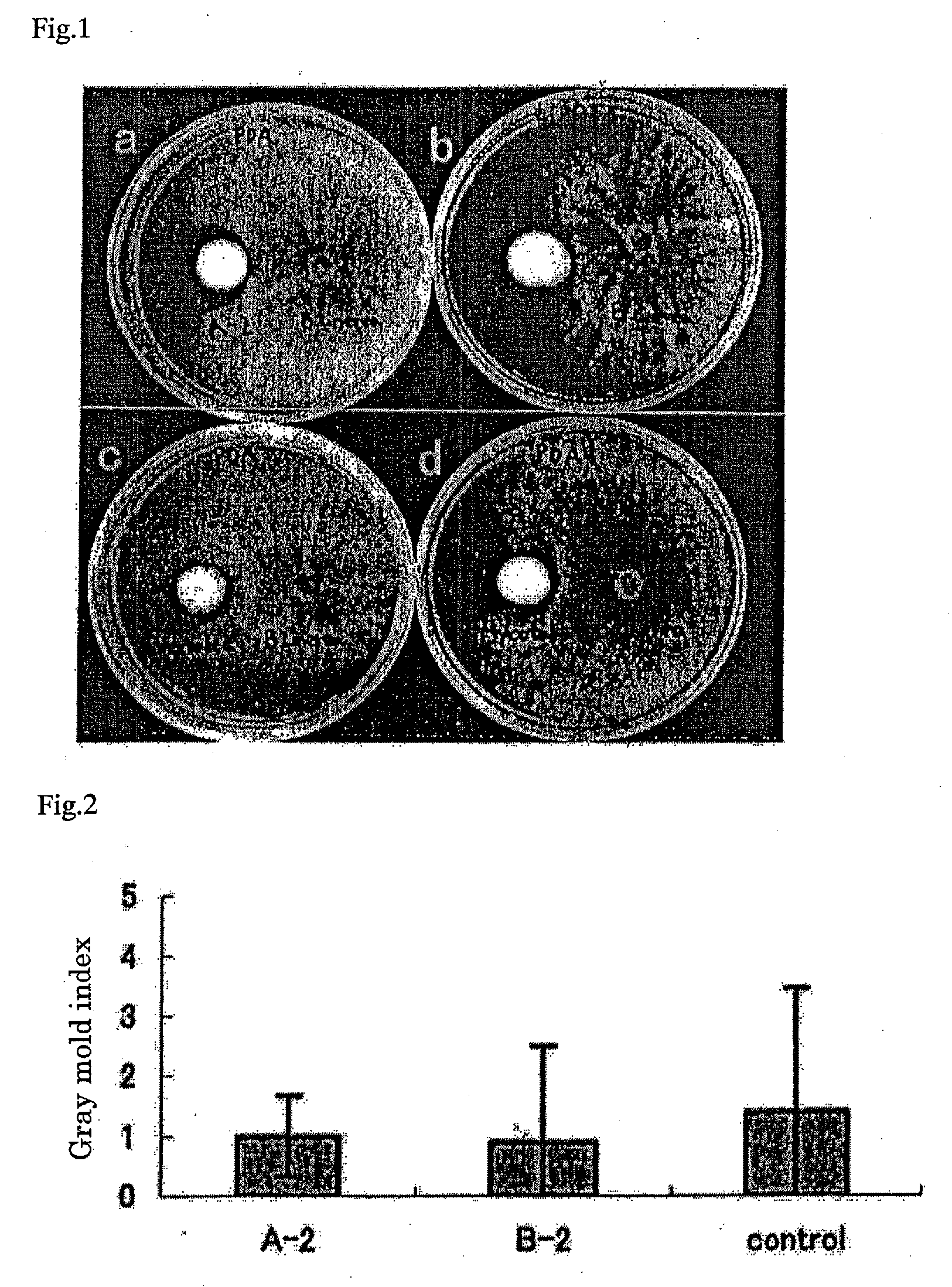 Microbial Pesticide Inhibiting the Outbreak of Plant Disease Damage