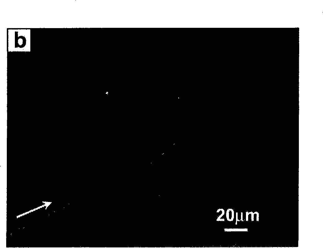 Method for preparing polymer nanometer optical waveguide coupling beam divider