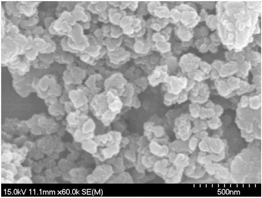 Supergravity gas-liquid precipitation method for preparing silica nanoparticles based on rice hull ash