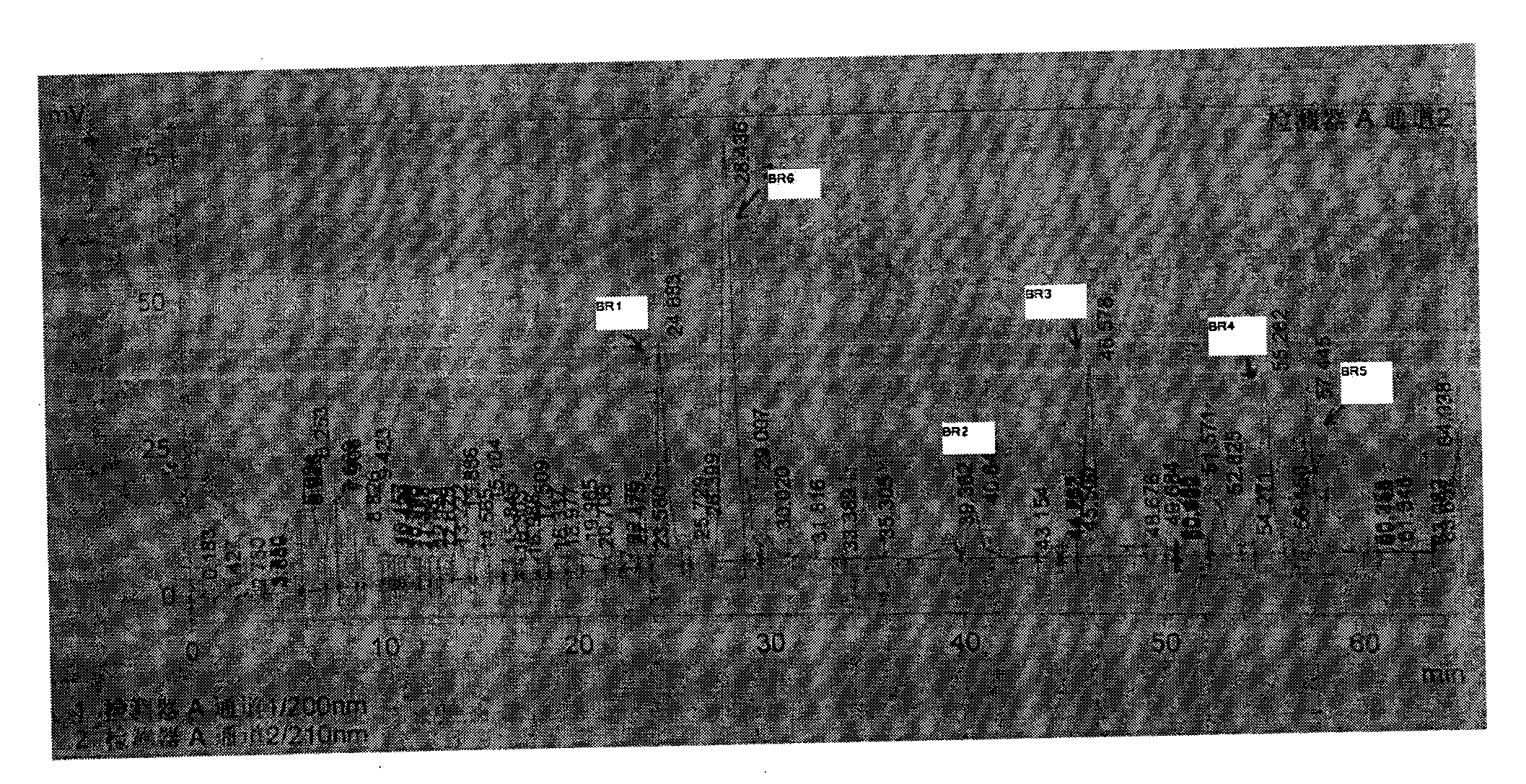 Natural brassinolide analogue application