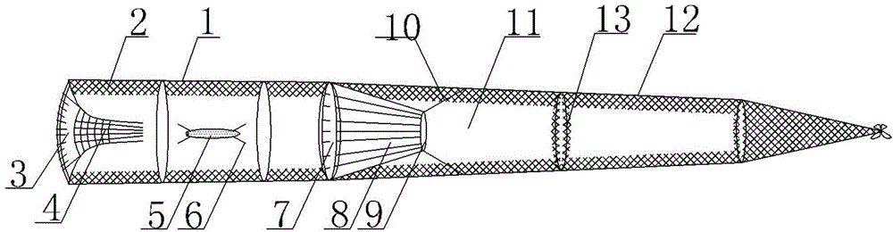 Monopterus albus capturing cage with butterfly-shaped inverted whiskers