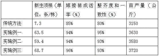 Method of Grafting and Raising Seedlings of Thin-skinned Melon in Spring