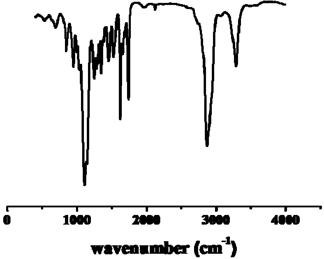 Amphiphilic polymer and preparing method thereof