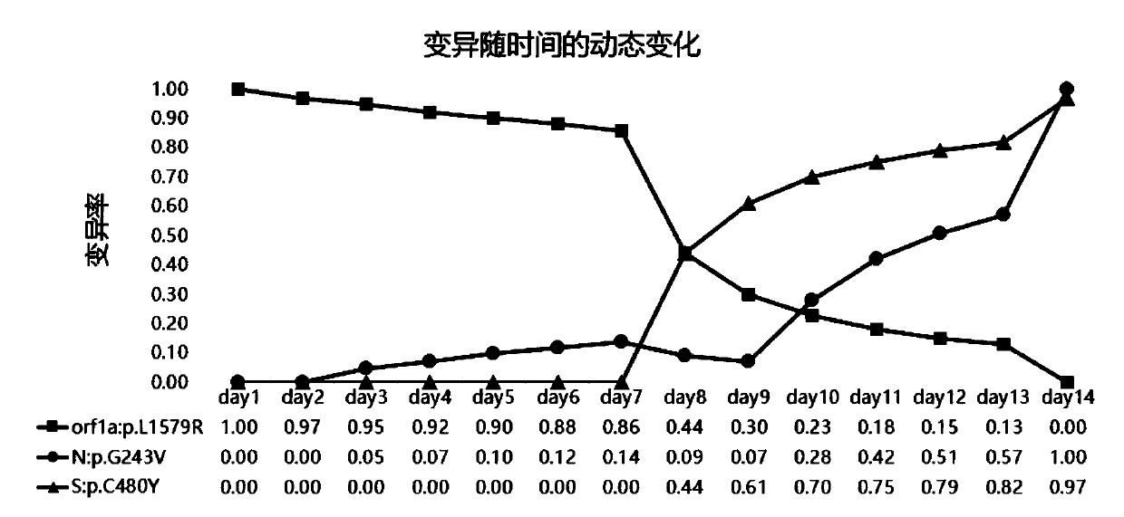 Novel coronavirus variation analysis method and application