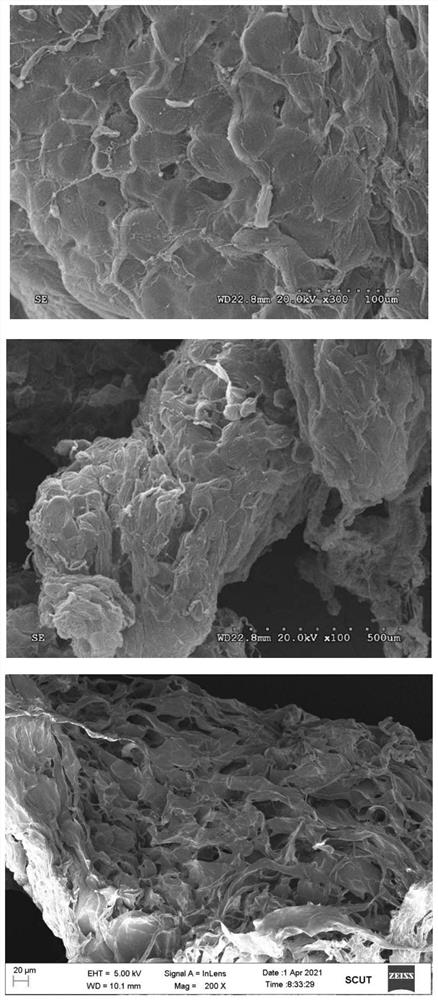 Preparation method and application of autologous fatty acid protein milk