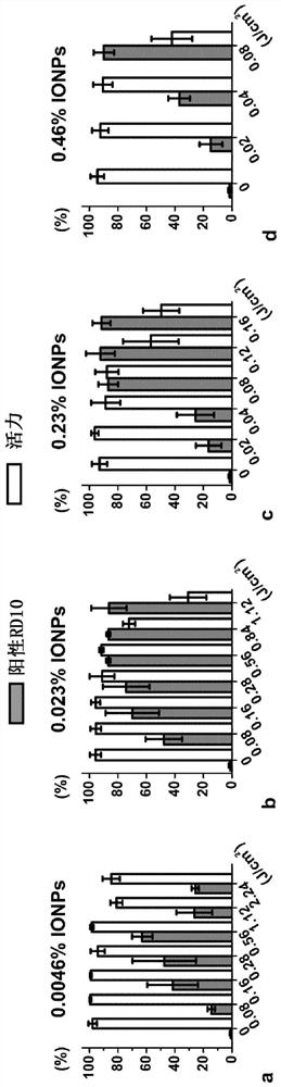 Method for increasing permeability of cytoplasmic membrane and structure suitable for same