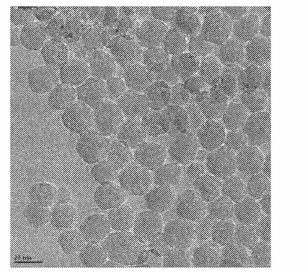 Protective coatings and methods of making and using the same