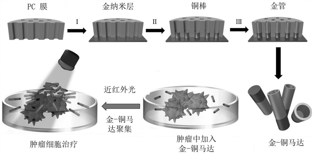 Light-driven nanomotor group for tumor photothermal therapy