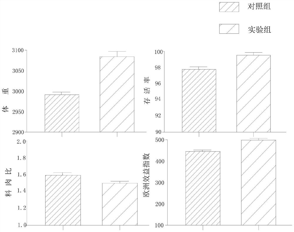 Bacillus subtilis and its application in inoculum and broiler feed