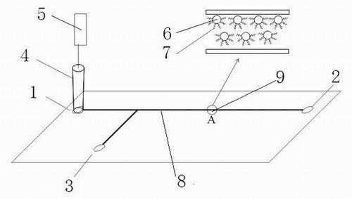 DNA (deoxyribonucleic acid) biosensor chip based on nanometer magnetic bead technique and experimental method thereof