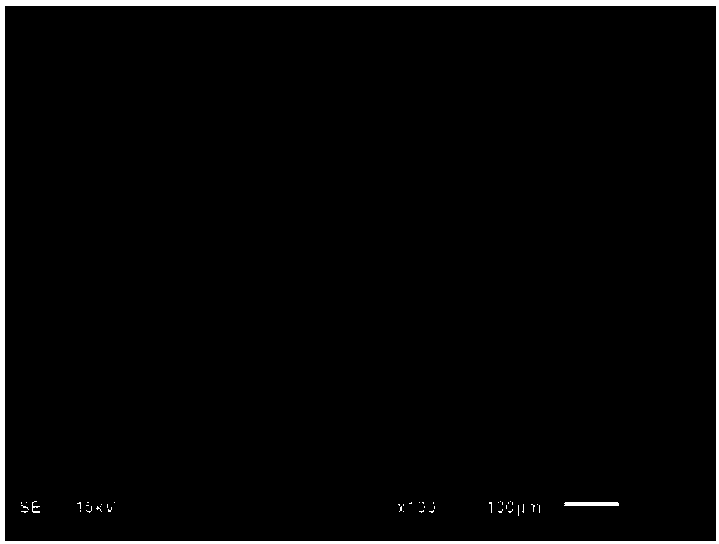 Device and method for preparing low-density polymeric foam beads by utilizing extrusion and foaming of supercritical mixed fluid