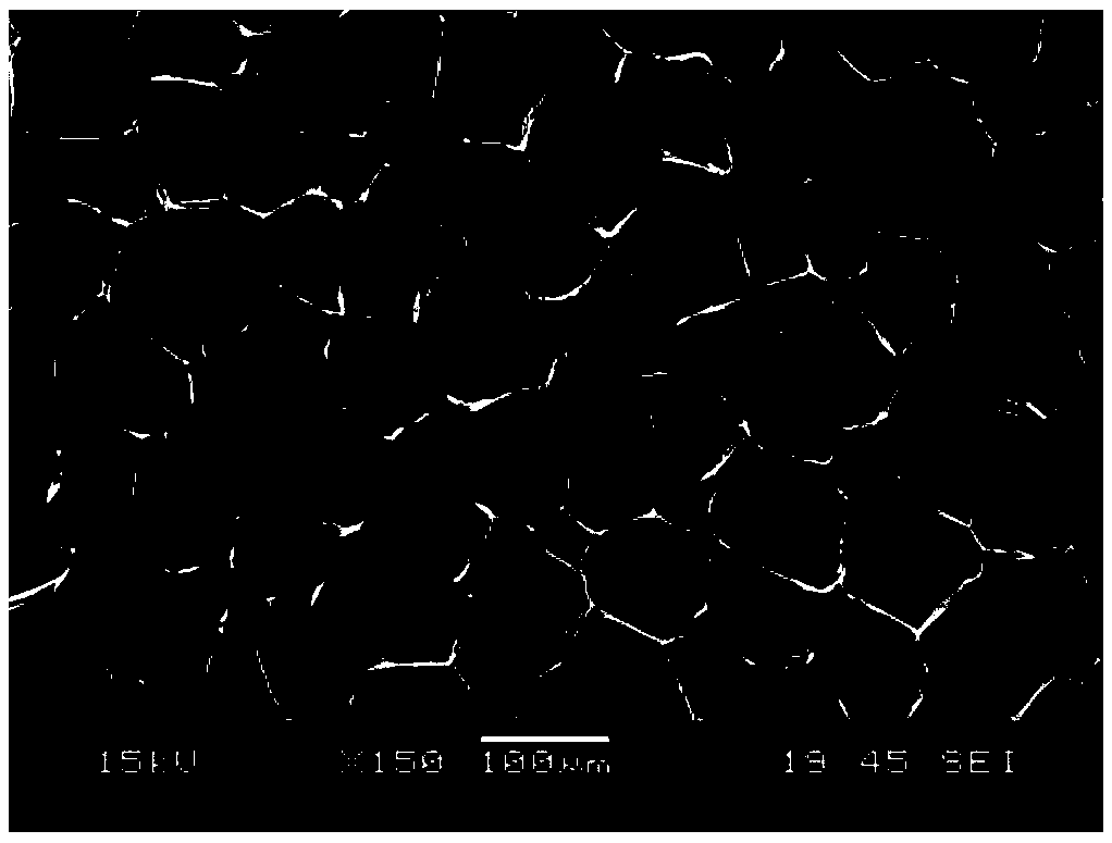 Device and method for preparing low-density polymeric foam beads by utilizing extrusion and foaming of supercritical mixed fluid