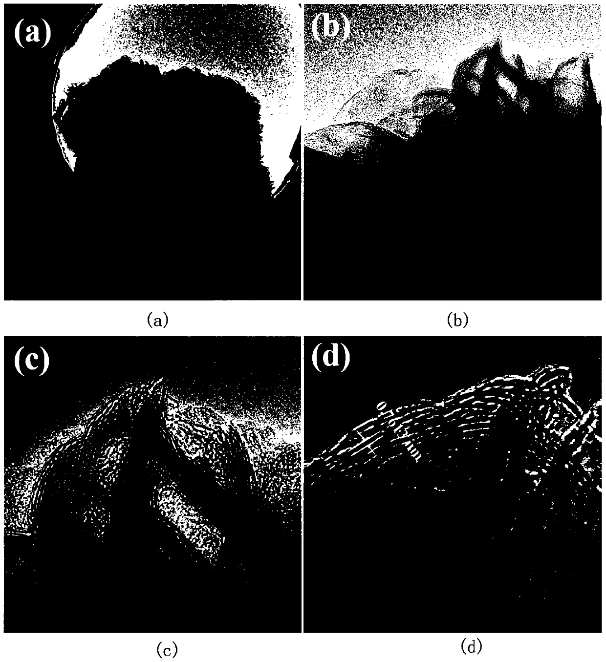 MoS2@EG magnesium-lithium double-salt ion battery positive electrode material and construction method thereof