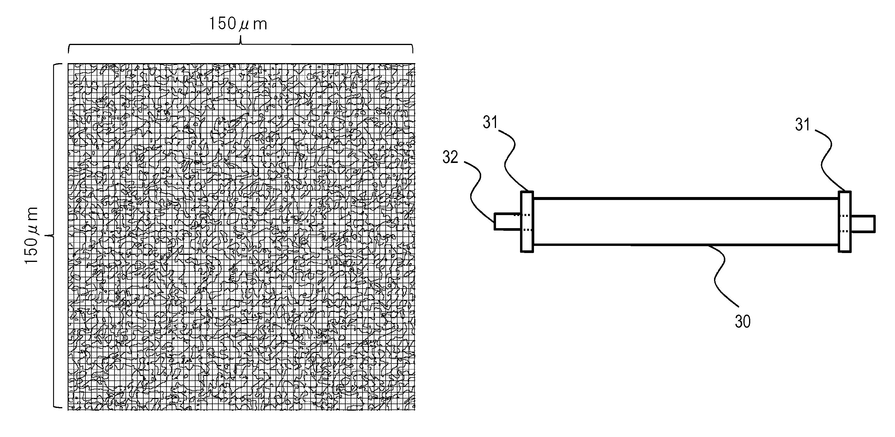 Electroconductive member for electrophotography, process cartridge, and electrophotographic apparatus