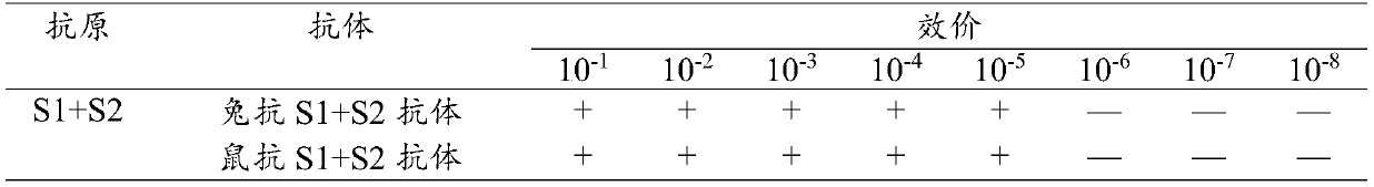 Preparation method of new coronavirus S1+ S2 anti-idiotype egg yolk antibody vaccine