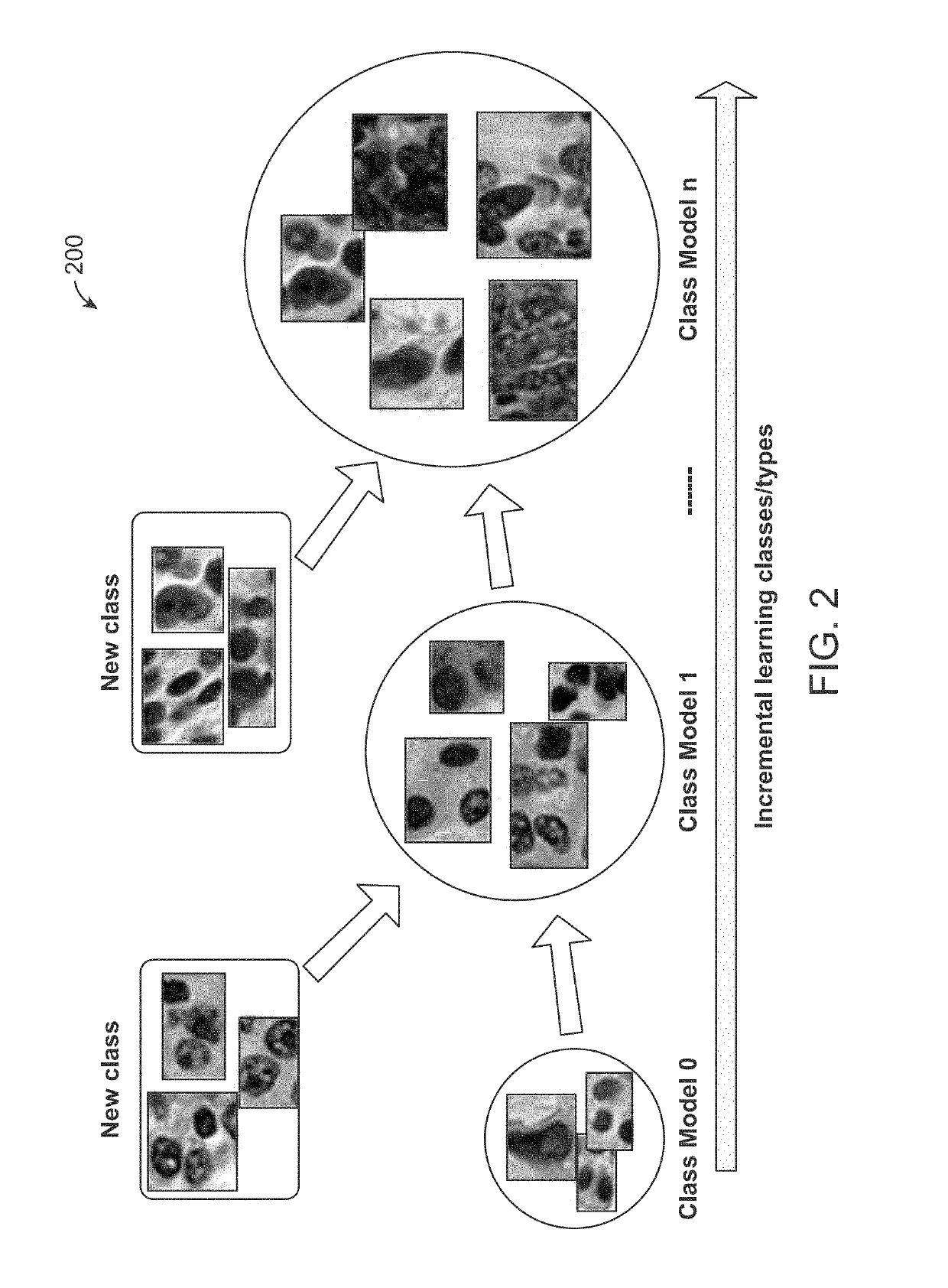 Method and system for cell annotation with adaptive incremental learning