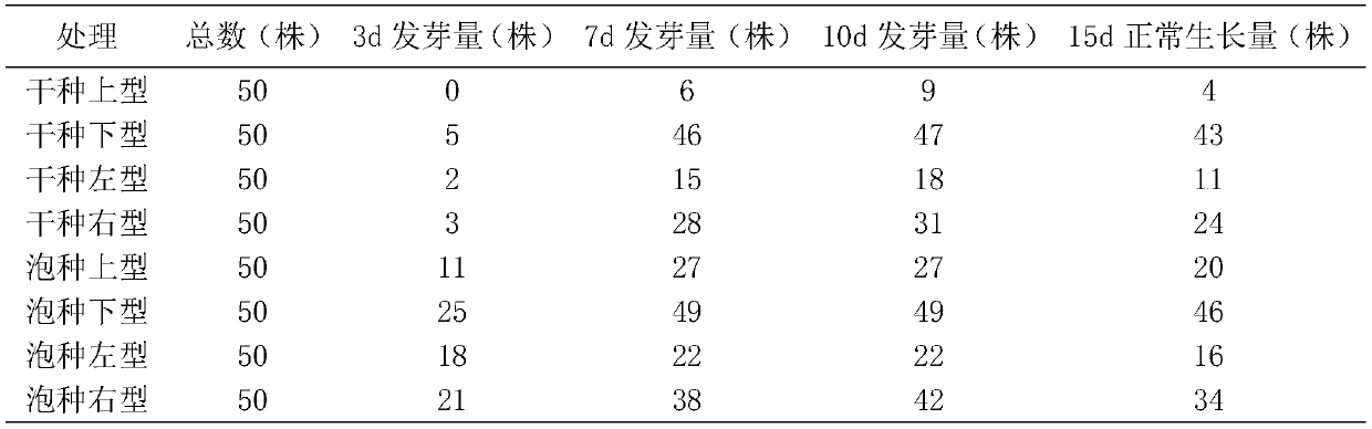 Method for breeding insects by using hydroponic plants