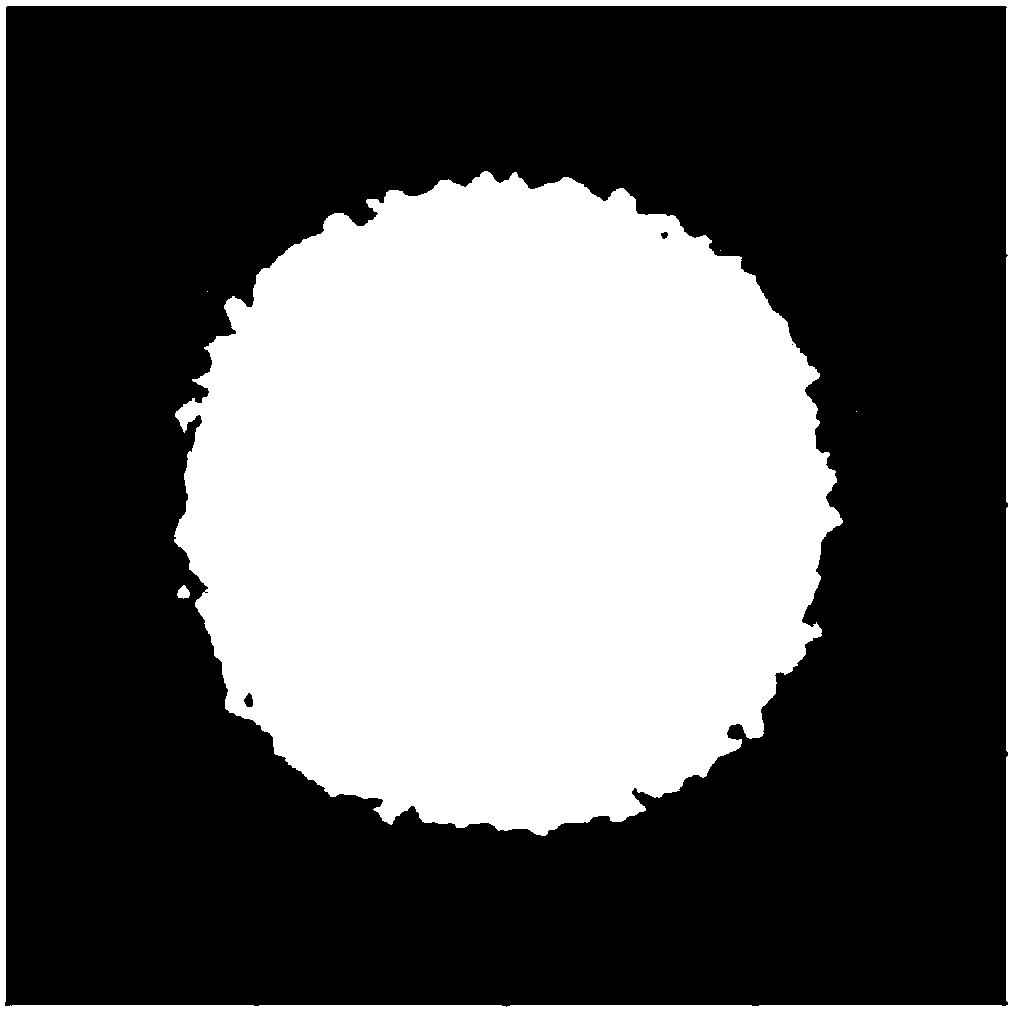 Light mixing, color mixing and light condensing light ray extraction apparatus for lighting