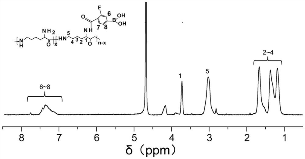 Nanoparticles for promoting tumor coagulation and enzyme/ATP dual responsive drug release, and preparation method and application of nanoparticles