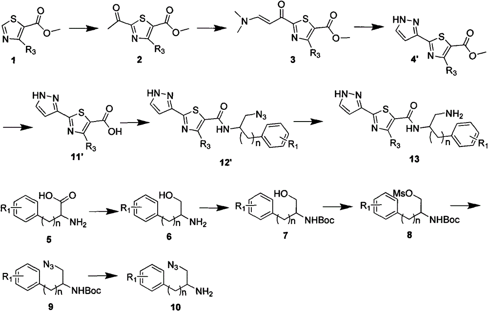 5-thiazole amides and their biological applications