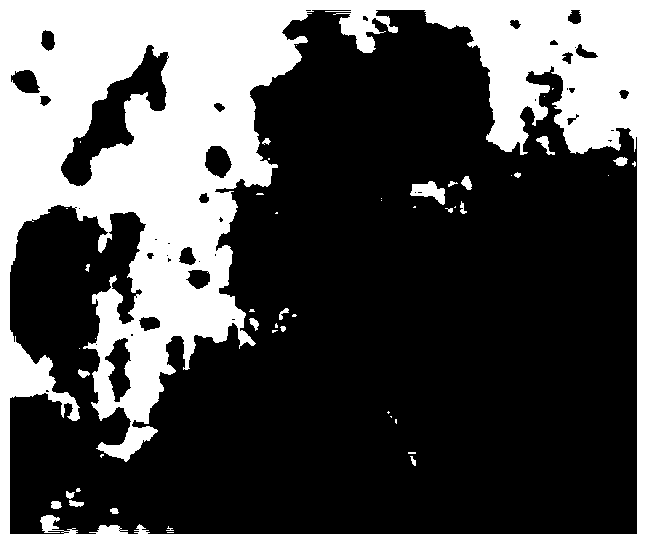 Propranolol hydrochloride lipidosome gel and preparation method thereof