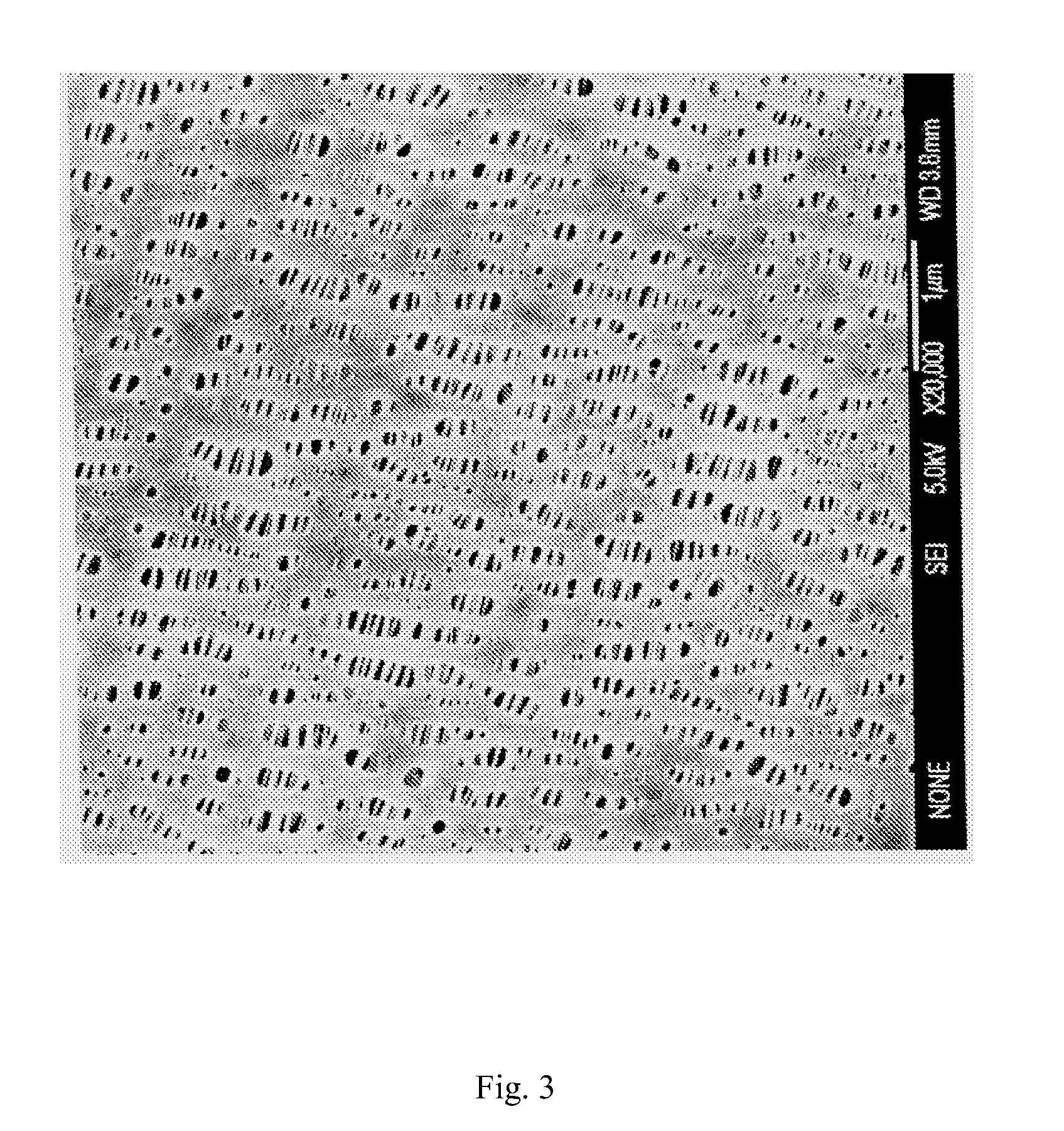 Method for preparing separator of battery