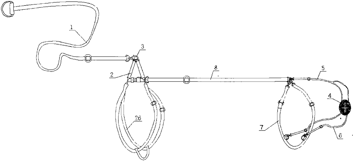 Anti-mating device for dogs