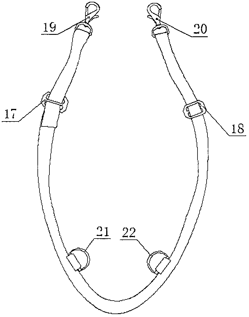 Anti-mating device for dogs