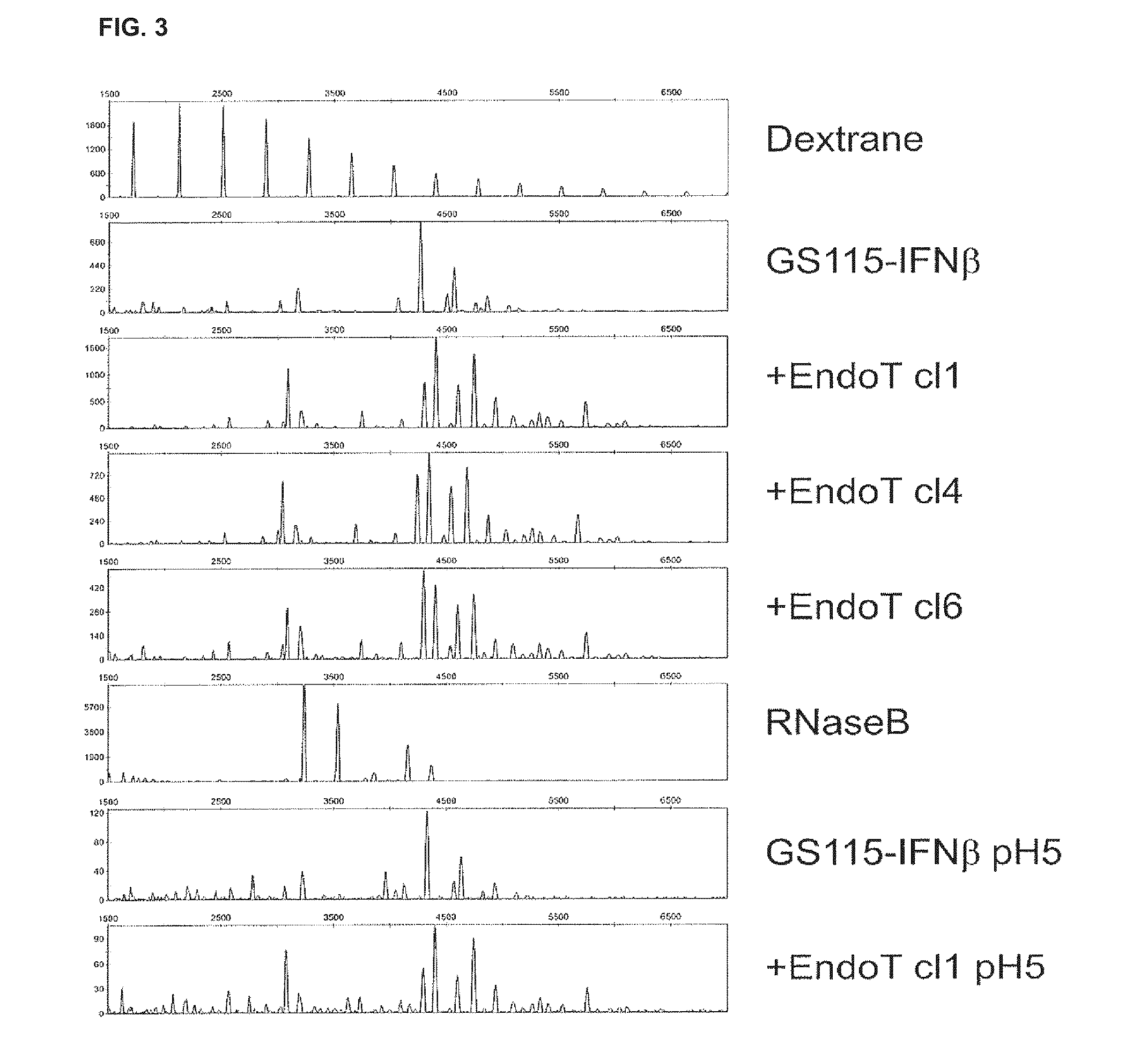 Cells producing glycoproteins having altered glycosylation patterns and method and use thereof