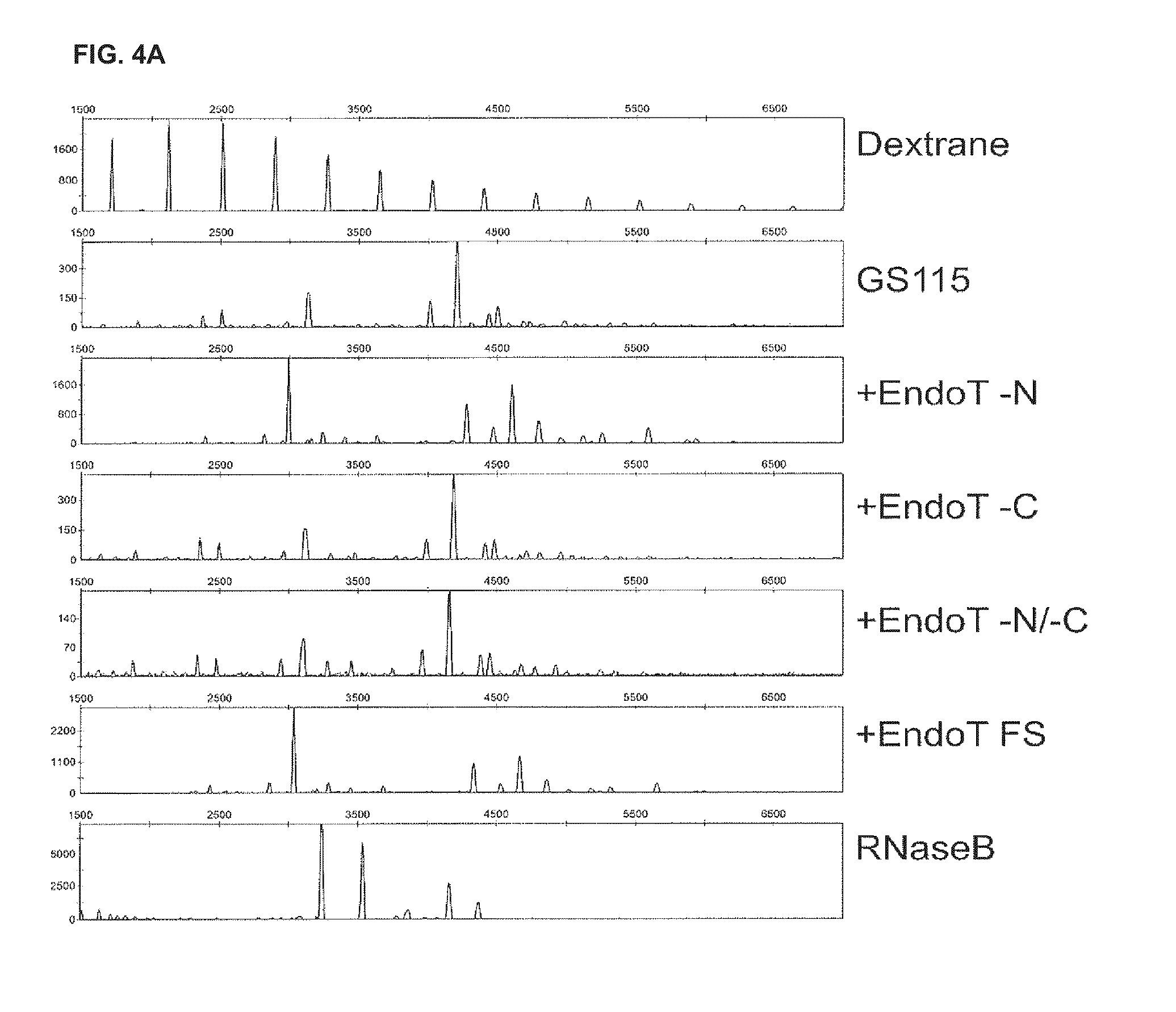 Cells producing glycoproteins having altered glycosylation patterns and method and use thereof