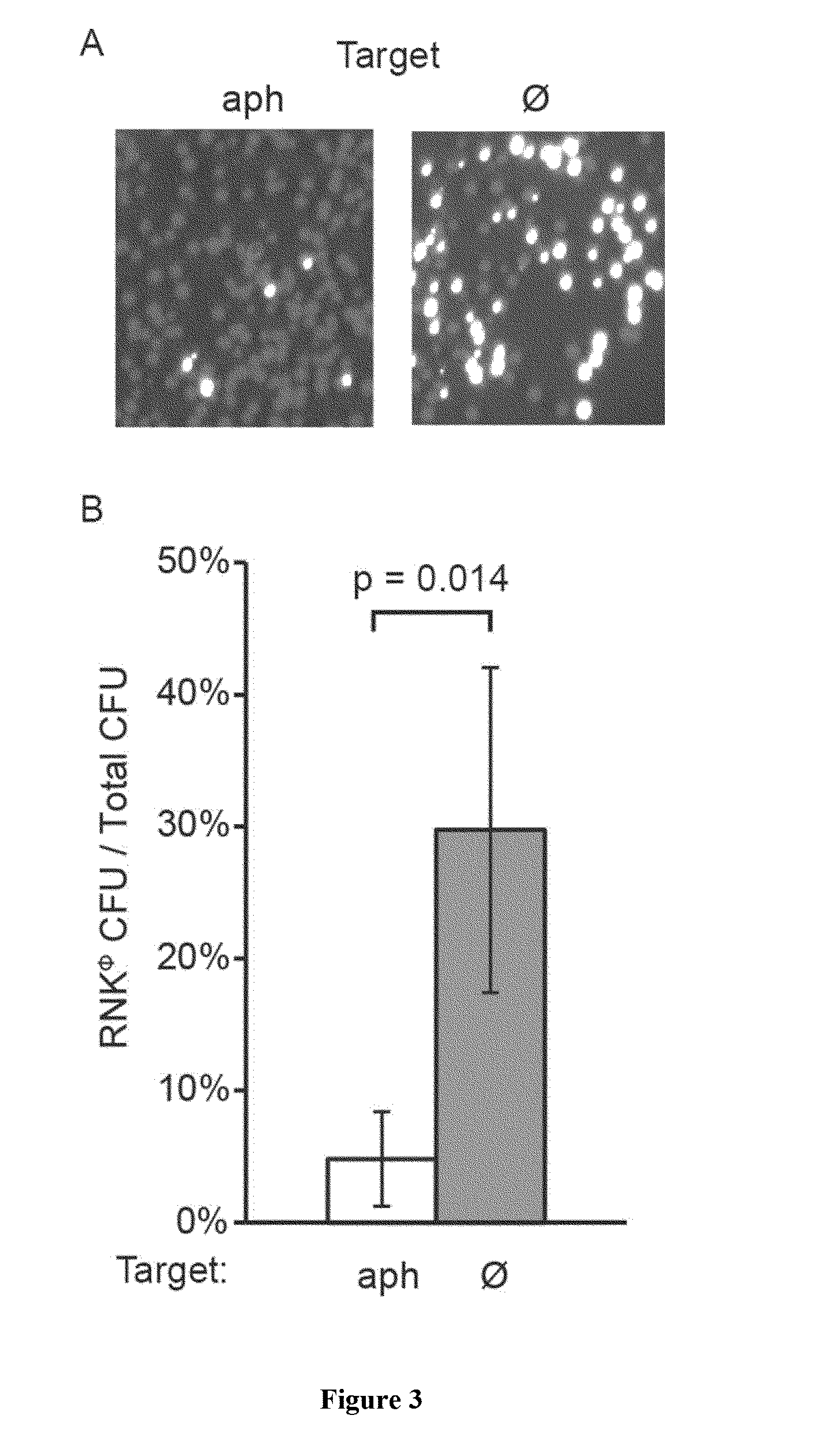 Sequence specific antimicrobials